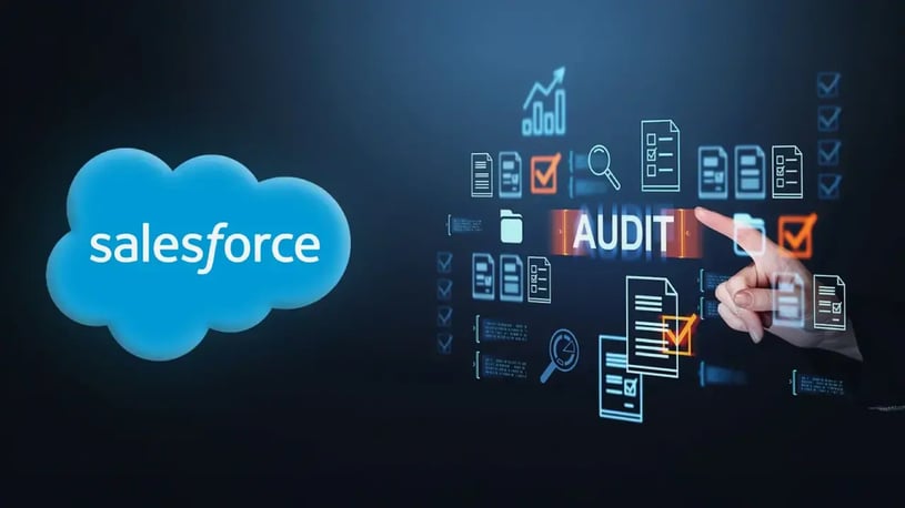 Salesforce Audit 101 - Blog Image