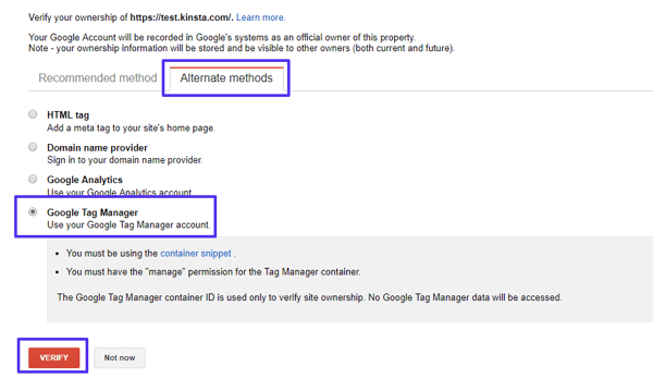 google-site-verification-google-tag-manager