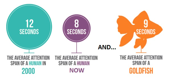 Attention span in the digital world