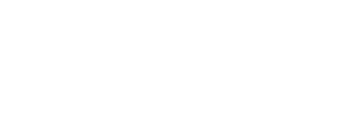 Adobe_Solution_Partner_Bronze